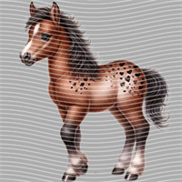 Valentine's Day-QRJ  5852